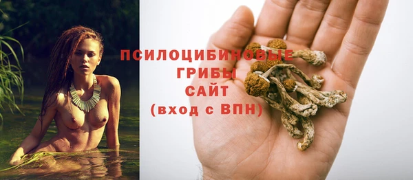 ешки Магадан