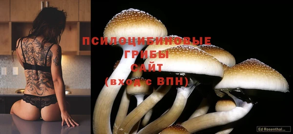 круглые Майский