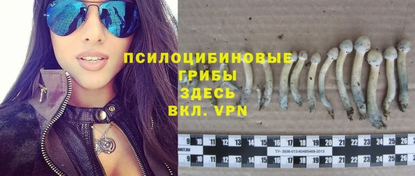 a pvp Шадринск