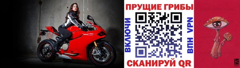 Псилоцибиновые грибы GOLDEN TEACHER  где найти наркотики  Новомичуринск 